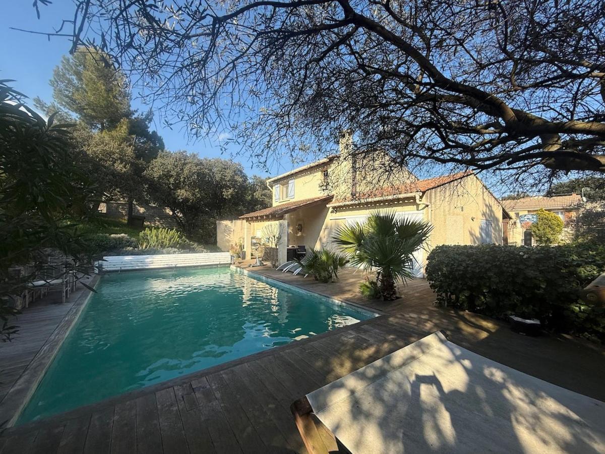 Le Havre De Paix En Garrigue 4 Chambres 3 Sdb Piscine Bezouce エクステリア 写真
